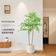 未歐南天竹仿真綠植盆栽高端輕奢室內客廳裝飾擺件大型造景落地假花樹(shù) 130cm 2桿南天竹+米色花pp盆