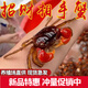 泰國相手蟹觀賞蟹相守蟹寵物蟹發(fā)財蟹淡水蟹擺地攤寵物批發(fā)價包郵 【送飼料】3-4cm泰國紅鰲相守蟹 10只（再送3只備損）共13只