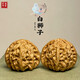 禎菩堂 文玩核桃原樹(shù)蛤蟆頭獅子頭元寶粗筋四座樓悶尖磨盤(pán)蘋(píng)果園白獅子 精選38-40mm白獅子（一對）