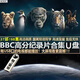 BBC記錄片U盤視頻兒童科普藍光紀錄片移動硬盤拷貝中文英語通用 384G-超清BBC紀錄片37部全套