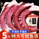 鮮拔頭籌脆口魷魚須新鮮冷凍魷魚足生鮮活超大魷魚腳海鮮水產(chǎn) 脆口魷魚須5斤