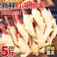 新鮮紅芽嫩姜當季現(xiàn)挖現(xiàn)發(fā)鮮姜生姜仔姜子姜紅姜芽泡糖醋酸8斤裝 1斤