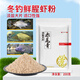 賈東普賈東普赤尾青冷凍魚(yú)餌鯽魚(yú)鯉魚(yú)羅非魚(yú)餌黑坑鮮腥秋冬蝦肉粉餌料 赤尾青