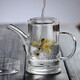 玻韻 加厚全玻璃泡茶器綠茶紅茶功夫茶具泡茶杯過(guò)濾套裝雪菊杯沖茶器 透白把 泡茶器 F-03