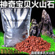 薩伊藍(lán)魚(yú)缸神奇寶貝濾材火山麥飯石活性炭軟水樹(shù)脂防藻凈水吸氨石草泥丸 火山石500ml/盒