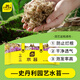 史丹利（STANLEY）水苔蝴蝶蘭專用土干苔蘚養(yǎng)蘭花的營養(yǎng)土優(yōu)質(zhì)文石斛心蘭烏龜