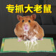 巨融老鼠貼粘鼠板加大加厚粘鼠膠家用老鼠粘捕鼠驅粘鼠膠老鼠膠占鼠板 2張裝 【粘鼠板】