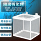 產(chǎn)盒孵魚(yú)槽魚(yú)缸水族箱孵化器小魚(yú)隔離盒網(wǎng)熱帶魚(yú)繁殖箱繁殖箱魚(yú)網(wǎng) 孵化隔離網(wǎng)1個(gè)