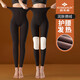 俞兆林女士羊毛褲女德絨貼片打底褲高腰蜂巢美體修身秋褲女聚熱保暖襯褲