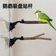 比普樂(lè )鸚鵡鳥(niǎo)站桿鳥(niǎo)籠站棍站杠鳥(niǎo)棲木配件牡丹玄鳳鸚鵡原木樹(shù)杈吸盤(pán) 【吸盤(pán)+樹(shù)杈20cm】 天然原木丨防滑耐磨丨舒適方便