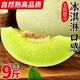 卉雙山東冰淇淋玉菇甜瓜9斤小香瓜綠肉當(dāng)季新鮮水果軟糯現(xiàn)摘蜜瓜白瓜 玉菇甜瓜  帶箱8.5-9斤
