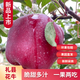 甘肅禮縣花牛蘋果脆甜多汁一果兩吃包郵 大果凈重11斤