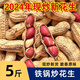 龍運(yùn)保利炒熟原味紅皮花生新貨帶殼生炒熟四粒紅皮東北花生炒貨農(nóng)家鐵鍋 紅皮花生【炒熟】1斤X1袋【共1斤