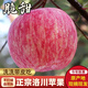 陜西延安洛川紅富士蘋(píng)果脆甜多汁糖心紅蘋(píng)果時(shí)令新鮮水果5斤 5斤【凈重4.5-5斤】 中果【75-80mm】
