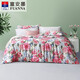富安娜四件套床上套件陽(yáng)光棉斜紋40支高密床單式床上用品 40支純棉  彩映 床單款 1.5m  被套203*229cm