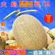 甘賢吐魯番西州蜜25號哈蜜瓜【順豐速運】新疆火焰蜜瓜一瓜一藤哈蜜瓜 7-8斤（2-3個瓜）