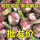 【2024年鮮蒜批發(fā)價(jià)】 新蒜頭紅皮紫皮大蒜嫩蒜新鮮濕蒜腌糖醋蒜 2024年現(xiàn)挖鮮蒜[補(bǔ)貼5元]沖量 1kg 特價(jià)補(bǔ)貼丨帶箱6斤丨大果