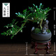 九里香盆栽中式盆景懸崖造型小老樁辦公室內驅蚊綠植花卉書(shū)桌植物 懸崖式九里香(紫砂盆) +木架 整套成品（山石苔蘚，帶盆種好）