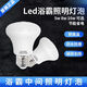 歐普源興浴霸中間照明燈泡led節(jié)能家用衛(wèi)生間小燈泡E27通用取暖燈 LED照明10W(兩只裝)高85