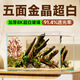 YEE魚缸金晶超白金魚裸缸8060家用客廳桌面小草缸龜缸玻璃生態(tài)溪流缸 30*17*20*5mm超白玻璃裸缸