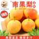 鮮姿遼寧南果梨南國梨香水梨醉梨酒梨新鮮水果禮盒 8.5-9斤大果 精選裝