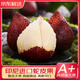 優(yōu)味集印尼蛇皮果【JD順豐】進(jìn)口水果熱帶新鮮沙叻記憶之果孕婦年貨生鮮 500g凈重裝（產(chǎn)地金果） 商超A+級(jí)金果