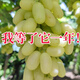 張家口懷來(lái)葡萄白馬奶綠色提子甜口沙城夾河葡萄產(chǎn)地直發(fā)帶箱重量 白馬奶 帶箱10斤 10g