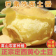 甘肅定西沙面粉糯新鮮土豆5/9斤農(nóng)家自種蔬菜土豆馬鈴薯黃心沙面 黃皮黃心 9斤中土豆(帶箱)