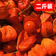 2024新鮮東北紅姑娘果泡水喝苦姑娘燈籠果中藥材谷鳥泡蜂蜜1斤 有皮有果2斤