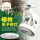 JJTOOP全光譜軌道植物專用補光燈室內(nèi)模擬太陽光燈魚缸綠植生長燈日光燈 【夾子B款】30W-4000K-帶插頭線