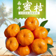 富銘士南豐新鮮蜜桔精品新鮮 蜜桔現(xiàn)采 現(xiàn)摘超甜貢桔勝沙糖桔無(wú)渣水果 5斤 精選發(fā)貨