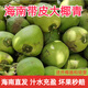 半畝莊園海南帶皮椰青新鮮孕婦椰子現摘現發(fā)青皮椰奶凍椰寶 帶皮椰子4個(gè)