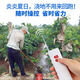 正實（HONEST）6系220V5千米無線遙控水泵電機抽水機等遠(yuǎn)距離遙控開關(guān) 6系5000米220V（單）