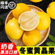 千果娘娘冬蜜黃晶果牛奶雅美水果 新鮮現(xiàn)摘稀有孕婦鮮果 云南版納黃金果 特級(jí)果王順豐【單果150g+】 5斤