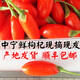 一杞香2025年寧夏中寧鮮枸杞】頭茬枸杞子 新鮮枸杞 水果大果紅構(gòu)杞鮮果 500克(125g*4盒/一箱)