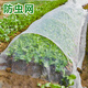 北蔬防蟲(chóng)網(wǎng)蔬菜種菜網(wǎng)罩大號菜地防護網(wǎng)棚罩塑料保溫膜防寒 防蟲(chóng)網(wǎng)60目【2米*5米】