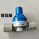 貝特道斯BETDOSE貝特道斯電磁泵加藥泵計量泵BS背壓閥注射閥泵頭WELLOFF 背壓閥S系列BS-06-05-S