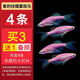 森悠冷水觀(guān)賞魚(yú)長(cháng)鰭長(cháng)尾熒光蝶翼斑馬魚(yú)大號好養練手 紫豹紋蝶翼斑馬3-5cm4條