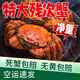 【活蟹】殘蟹鮮活大閘蟹2斤送1斤少腿蟹興化大閘蟹斷腿蟹螃蟹鮮活 公4.5-5兩5只+母3.5-4兩5只