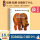 英文原版 Brown Bear Brown Bear What Do you see 棕熊你看到了什么 棕色的熊 Eric Carle 艾瑞卡爾 撕不爛紙板書(shū) 認知繪本