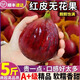 現貨無(wú)花果鮮果新鮮5斤裝紅皮無(wú)花果孕婦水果當季整箱大果甜包郵 1斤