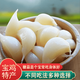 恒佳陜西特產(chǎn)寶雞恒佳糖醋蒜200g袋裝脆嫩甜蒜腌泡大蒜頭 糖蒜200克X5袋