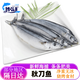 裕琳瓏秋刀魚深海魚日式燒烤食材新鮮秋刀魚大規(guī)格冷凍海鮮水產(chǎn)生鮮海捕 秋刀魚3斤裝 2號秋刀