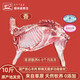 錫林食鮮生羊肉生鮮內蒙新鮮現(xiàn)殺半只10斤羊排蝎子羊腿火鍋食材年貨禮盒羊肉 半只羊10斤