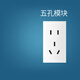 鴻雁118型開(kāi)關(guān)插座面板多孔家用暗裝墻壁九孔12孔十五孔 Q118模塊白色 五孔模塊