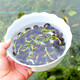 旺浦商貿(mào)碗蓮種子室內(nèi)盆栽荷花種子睡蓮四季開花水培碗蓮花卉種子植物種子 開口碗蓮種子混色70粒 不含盆
