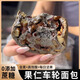 康泉全麥果仁車(chē)輪堅果面包控減低0無(wú)糖精脂重零食品代餐飽腹營(yíng)養早餐 【五黑+全麥】混合共12袋