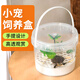 寵小帥手提式烏龜缸生態(tài)飼養(yǎng)箱瀝水隔離盒養(yǎng)龜盆佛鱷龜缸創(chuàng)意造景飼養(yǎng)盒 【創(chuàng)意造景套裝】飼養(yǎng)盒