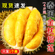 采緹（CAITI）泰國金枕頭榴蓮迷你巴掌榴蓮一整個(gè)帶殼當季新鮮進(jìn)口水果整箱 5-6斤（1-2個(gè)包3-5房）