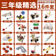 五六年級小學(xué)生diy科技小制作材料包兒童手工作品科學(xué)小實(shí)驗套裝 三年級精選-16件套